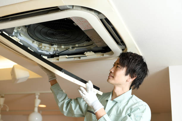 Best Home Air Vent Cleaning  in Wink, TX